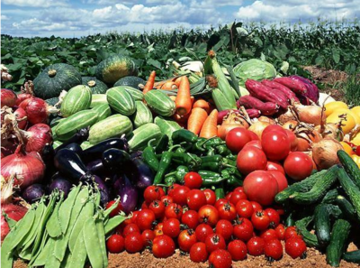 農副產品價格低廉卻無人收購的原因探析