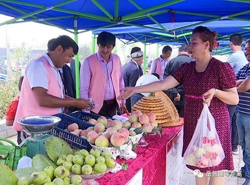 農(nóng)副產(chǎn)品促銷(xiāo)會(huì) 打通產(chǎn)銷(xiāo)對(duì)接，助力脫貧攻堅(jiān)的堅(jiān)實(shí)橋梁