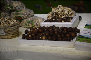 攜手豐臺，共繪鄉村振興新畫卷——豐臺區扶貧協作地區農副產品推介活動紀實