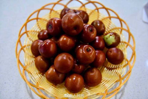 戈壁綠洲展新篇 新疆農副產品跨越萬里香飄四方